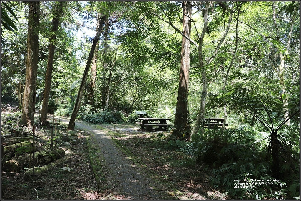 鳩之澤自然步道-2022-07-38.jpg 鳩之澤自然步道-2022-07-38.jpg