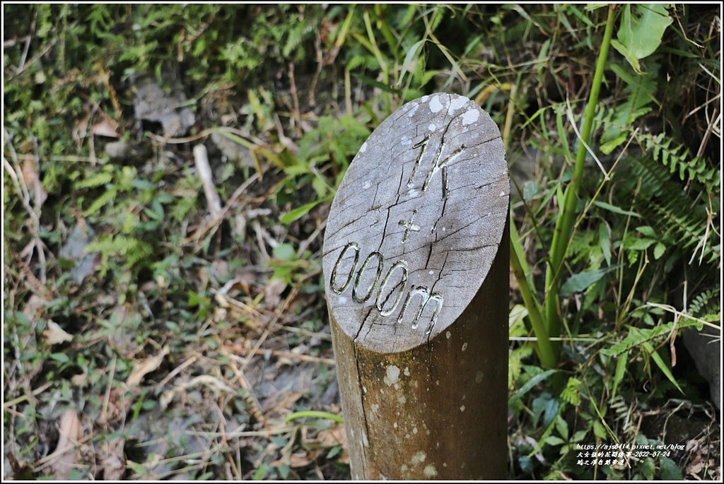 鳩之澤自然步道-2022-07-44.jpg 鳩之澤自然步道-2022-07-44.jpg