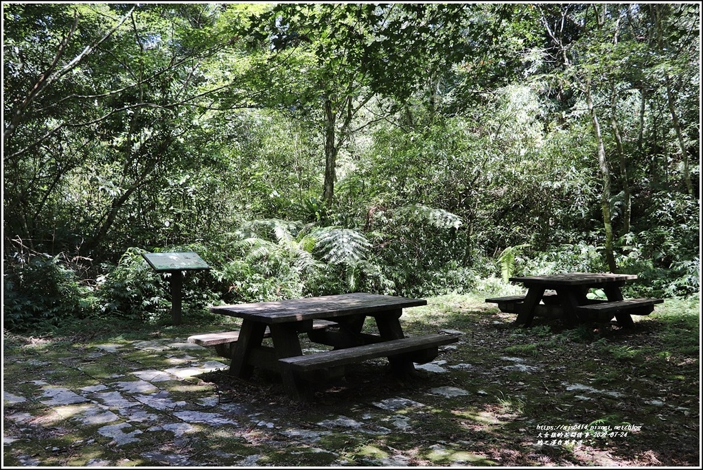 鳩之澤自然步道-2022-07-40.jpg 鳩之澤自然步道-2022-07-40.jpg