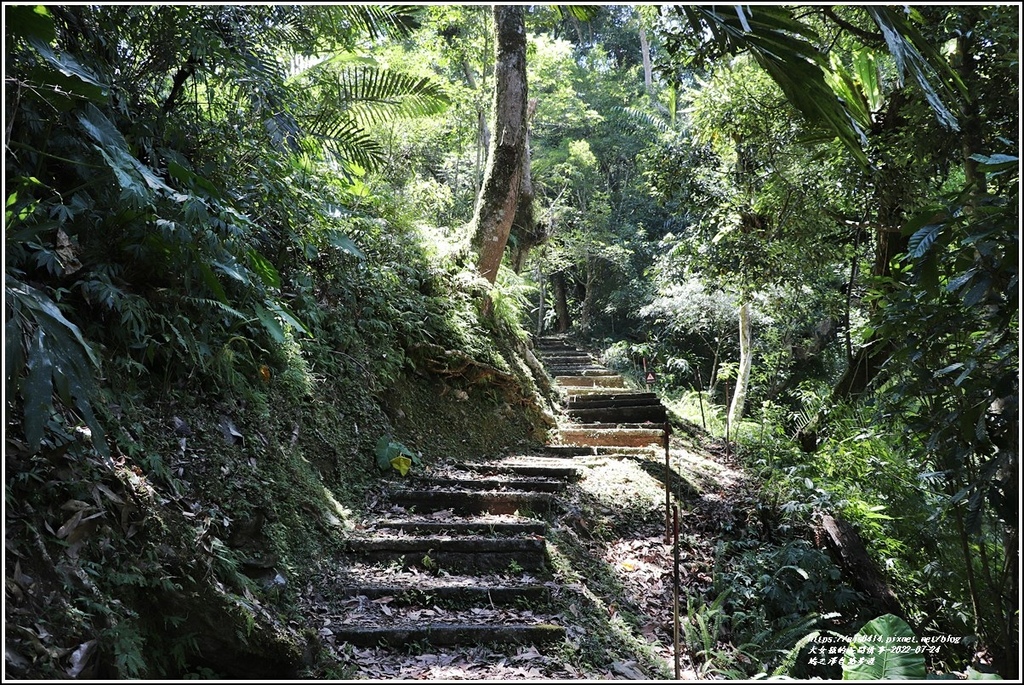 鳩之澤自然步道-2022-07-43.jpg 鳩之澤自然步道-2022-07-43.jpg