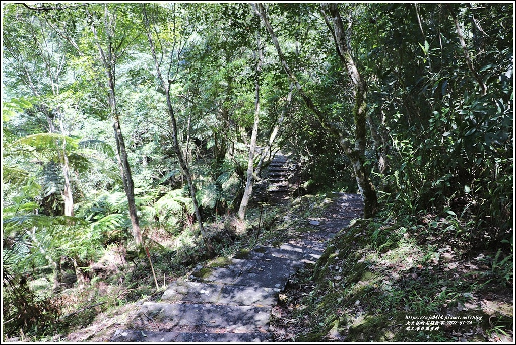 鳩之澤自然步道-2022-07-46.jpg 鳩之澤自然步道-2022-07-46.jpg