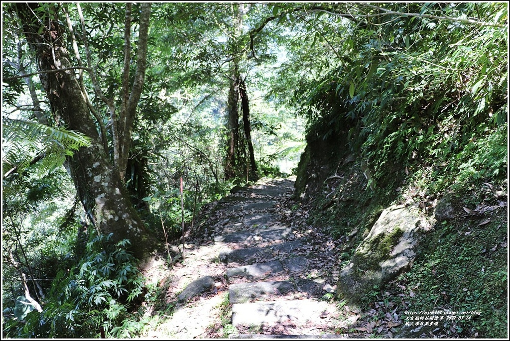 鳩之澤自然步道-2022-07-42.jpg 鳩之澤自然步道-2022-07-42.jpg