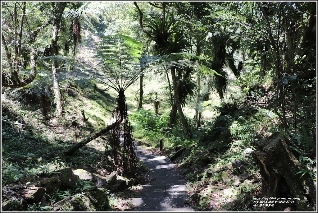 鳩之澤自然步道-2022-07-47.jpg 鳩之澤自然步道-2022-07-47.jpg