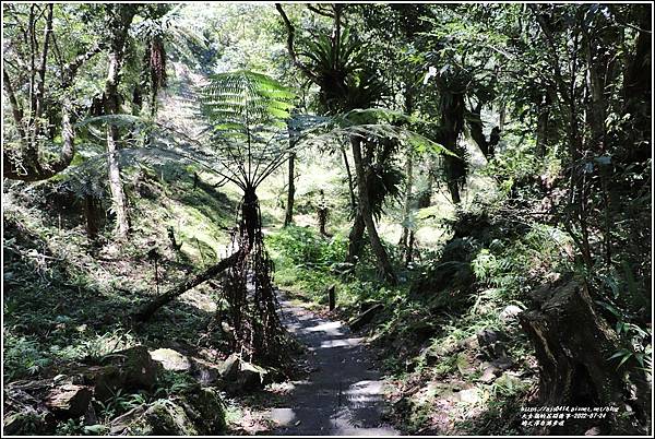 鳩之澤自然步道-2022-07-47.jpg
