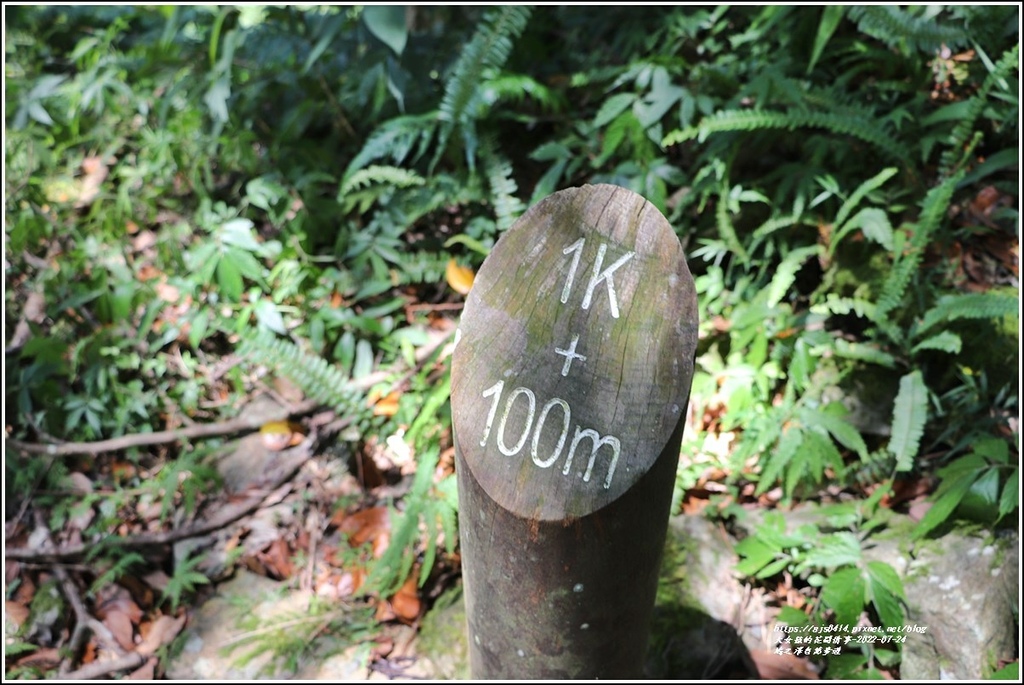 鳩之澤自然步道-2022-07-48.jpg 鳩之澤自然步道-2022-07-48.jpg