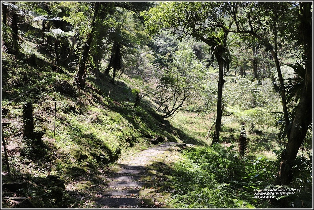 鳩之澤自然步道-2022-07-49.jpg