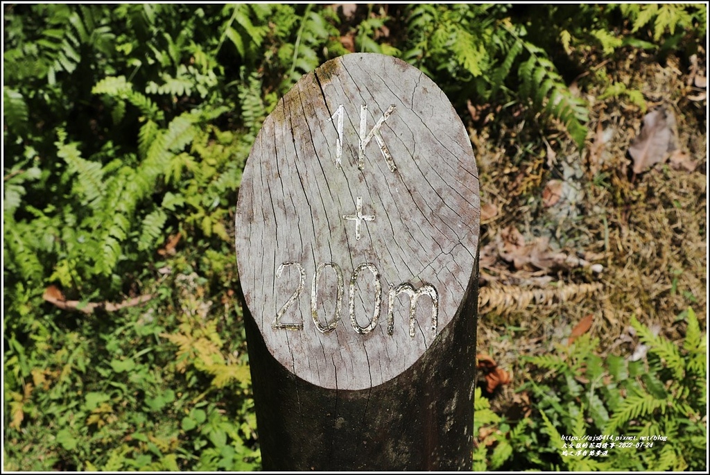 鳩之澤自然步道-2022-07-52.jpg 鳩之澤自然步道-2022-07-52.jpg