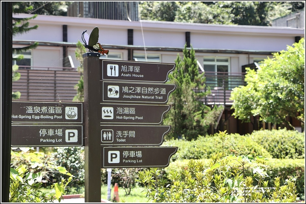 鳩之澤自然步道-2022-07-56.jpg 鳩之澤自然步道-2022-07-56.jpg
