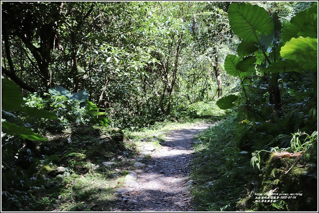 鳩之澤自然步道-2022-07-53.jpg 鳩之澤自然步道-2022-07-53.jpg