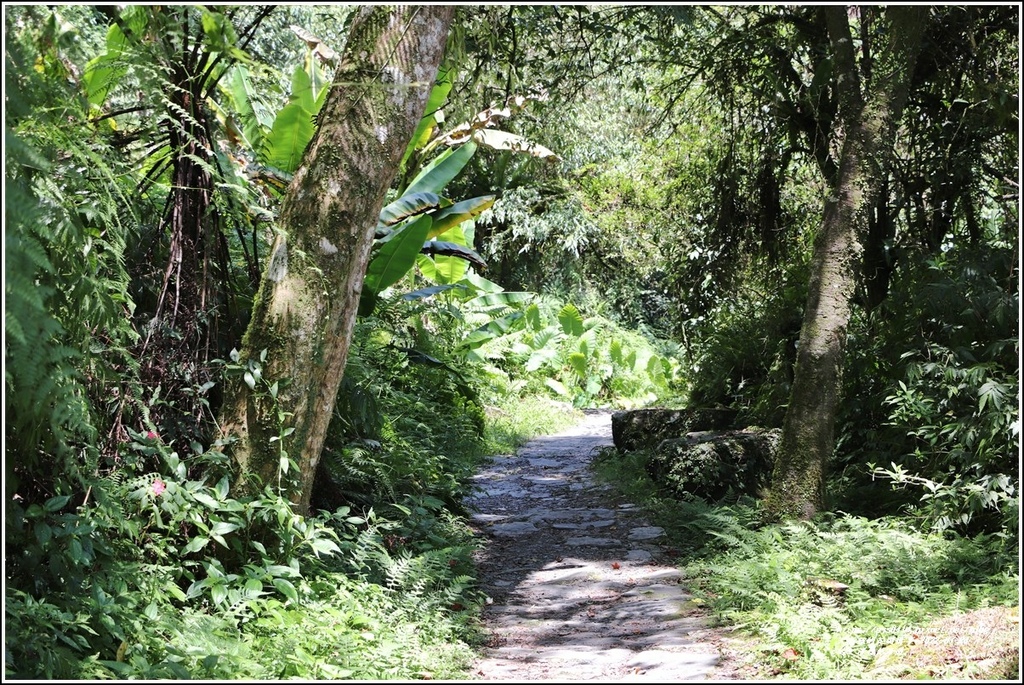 鳩之澤自然步道-2022-07-55.jpg 鳩之澤自然步道-2022-07-55.jpg