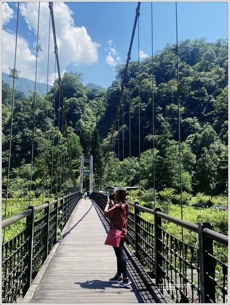 鳩之澤自然步道-2022-07-71.jpg 鳩之澤自然步道-2022-07-71.jpg