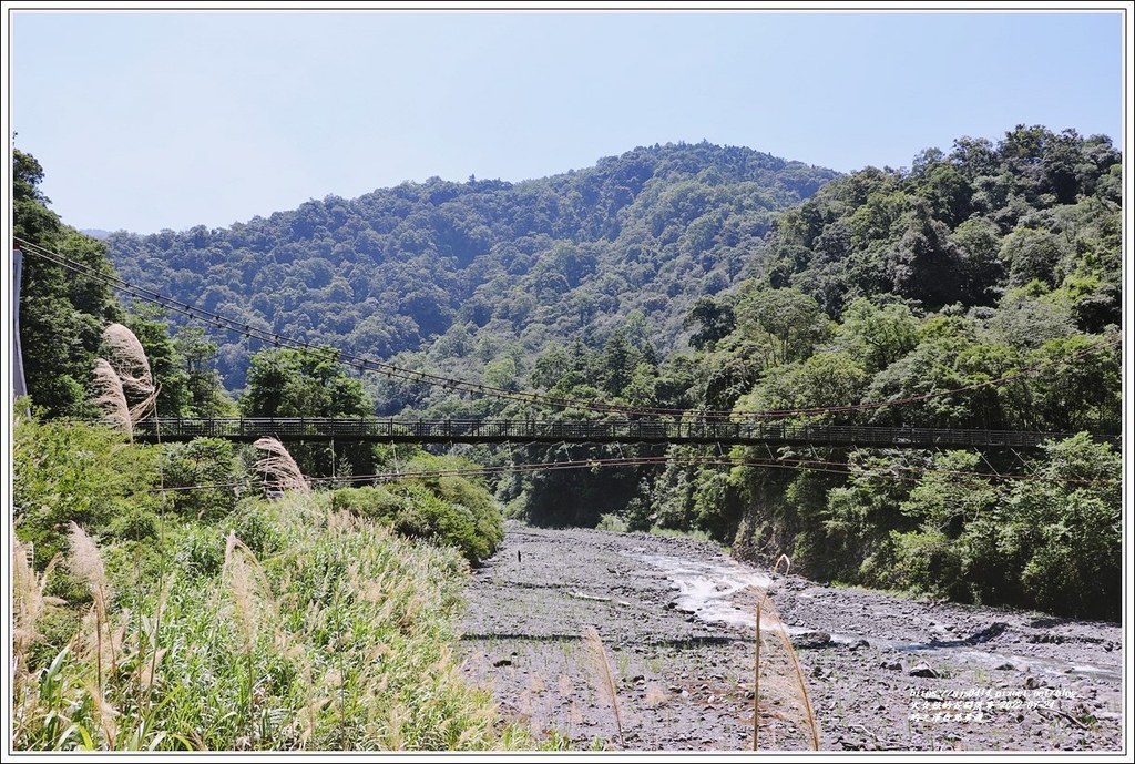 鳩之澤自然步道-2022-07-70.jpg 鳩之澤自然步道-2022-07-70.jpg