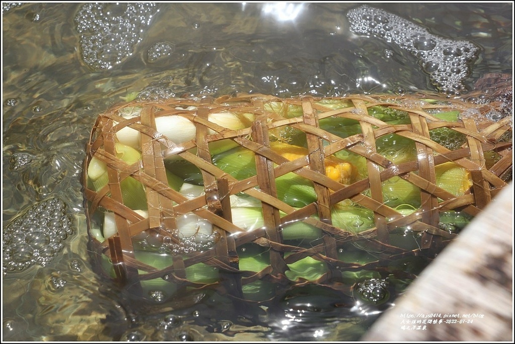 澤之鳩煮蛋槽區-2022-07-05.jpg 澤之鳩煮蛋槽區-2022-07-05.jpg