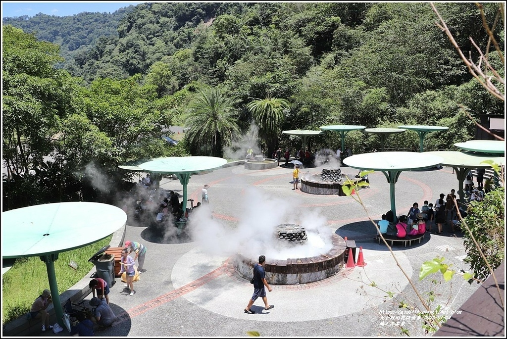 澤之鳩煮蛋槽區-2022-07-06.jpg 澤之鳩煮蛋槽區-2022-07-06.jpg