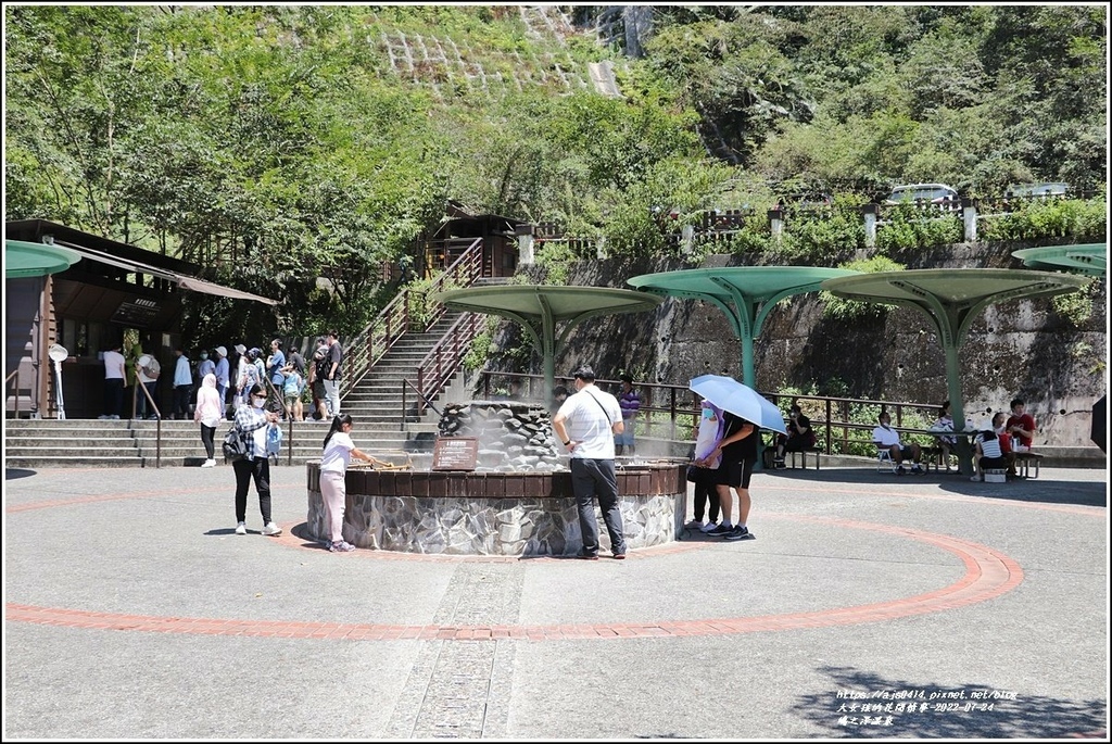 澤之鳩煮蛋槽區-2022-07-07.jpg 澤之鳩煮蛋槽區-2022-07-07.jpg