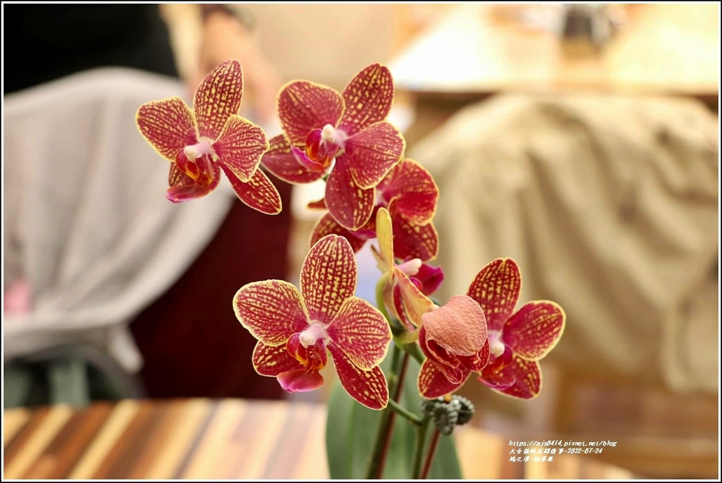 鳩之澤-旭澤屋-2022-07-08.jpg 鳩之澤-旭澤屋-2022-07-08.jpg