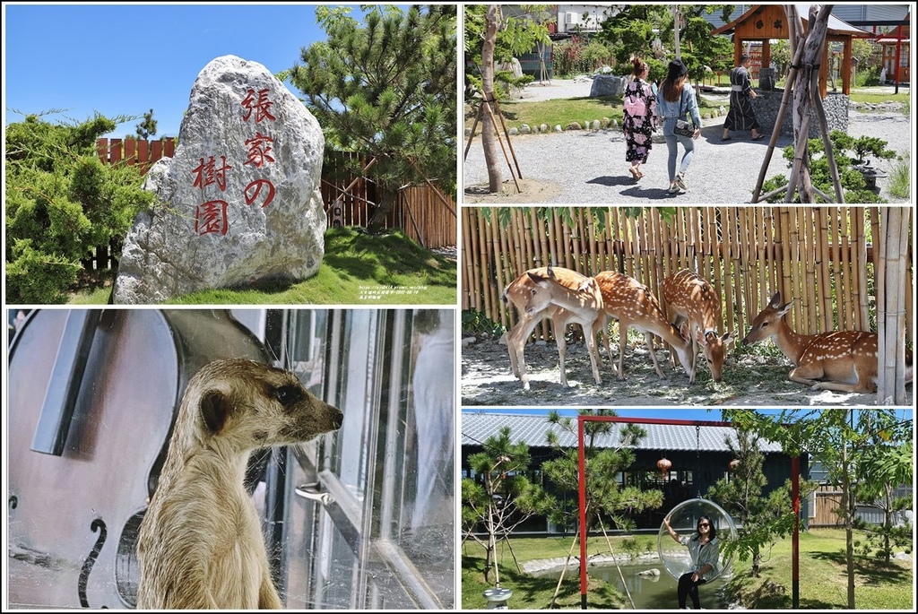 張家の樹園,日式庭園,浴衣體驗,梅花鹿,花蓮吉安,動物互動,攝影打卡,花蓮,和服