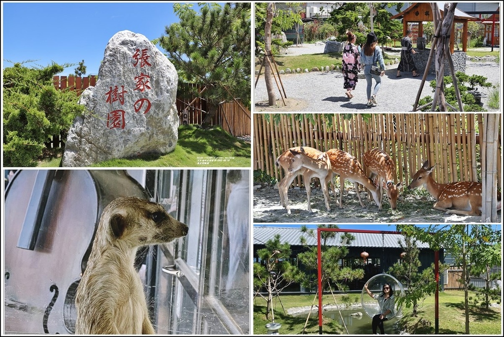 花蓮,張家の樹園,日式庭園,和服,浴衣,花蓮景點