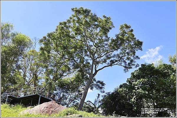 花藞藞玫瑰岩休閒農場-2022-08-39.jpg