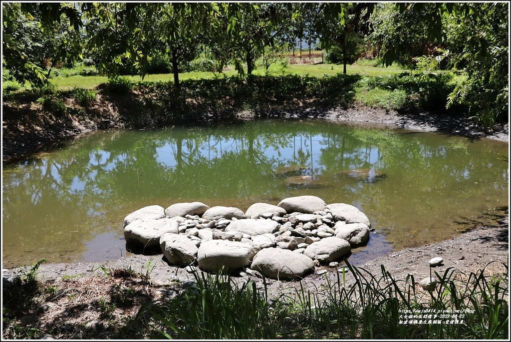 拉索埃湧泉生態園區-愛情湧泉-2022-08-05.jpg