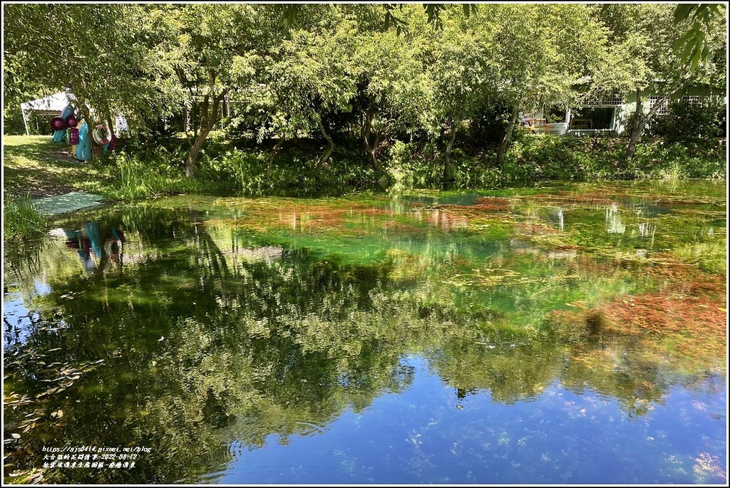 拉索埃湧泉生態園區-療癒湧泉-2022-08-07.jpg