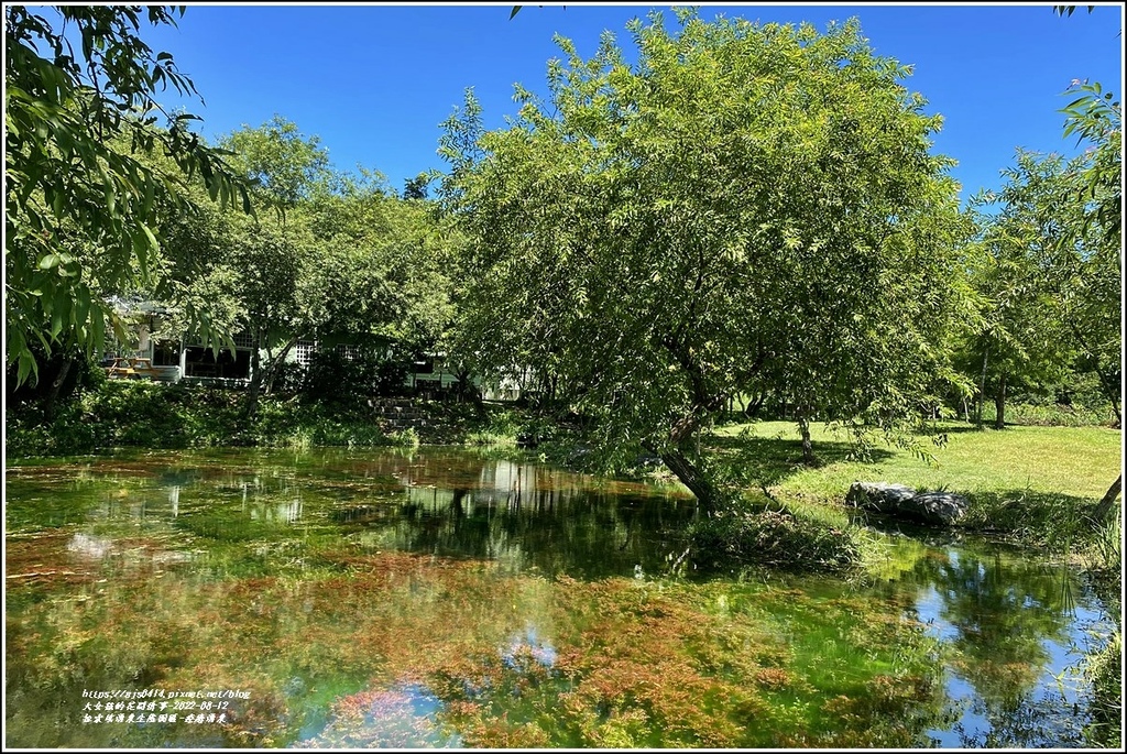 拉索埃湧泉生態園區-療癒湧泉-2022-08-10.jpg