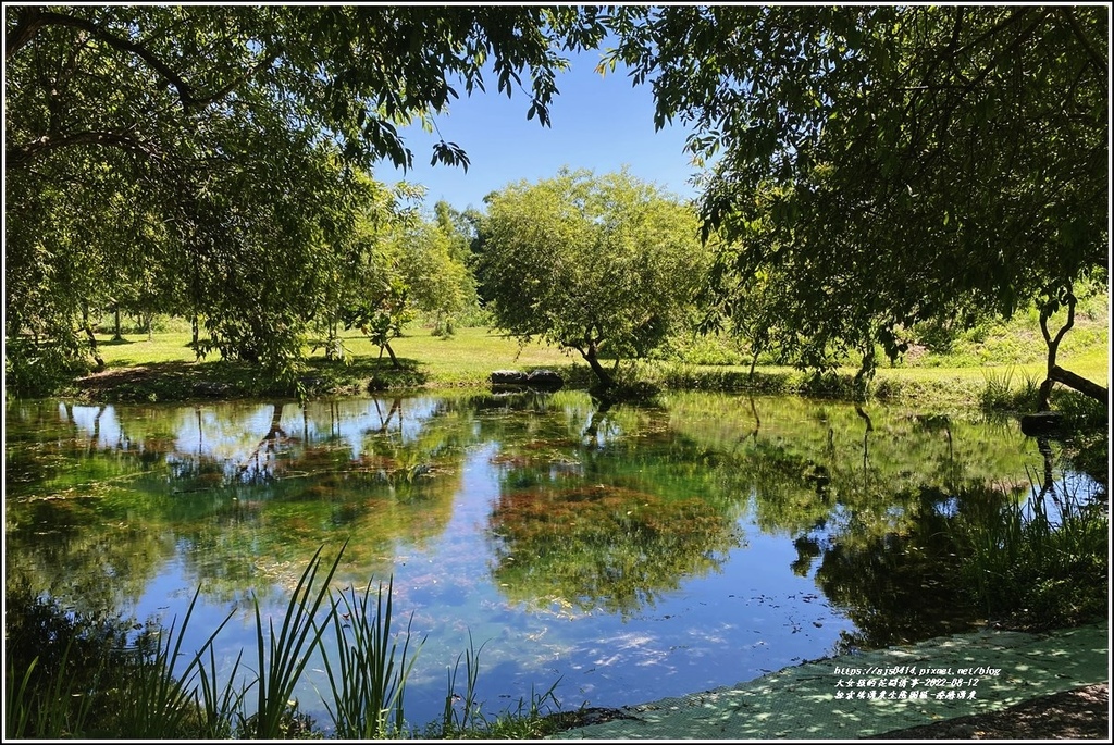 拉索埃湧泉生態園區-療癒湧泉-2022-08-12.jpg