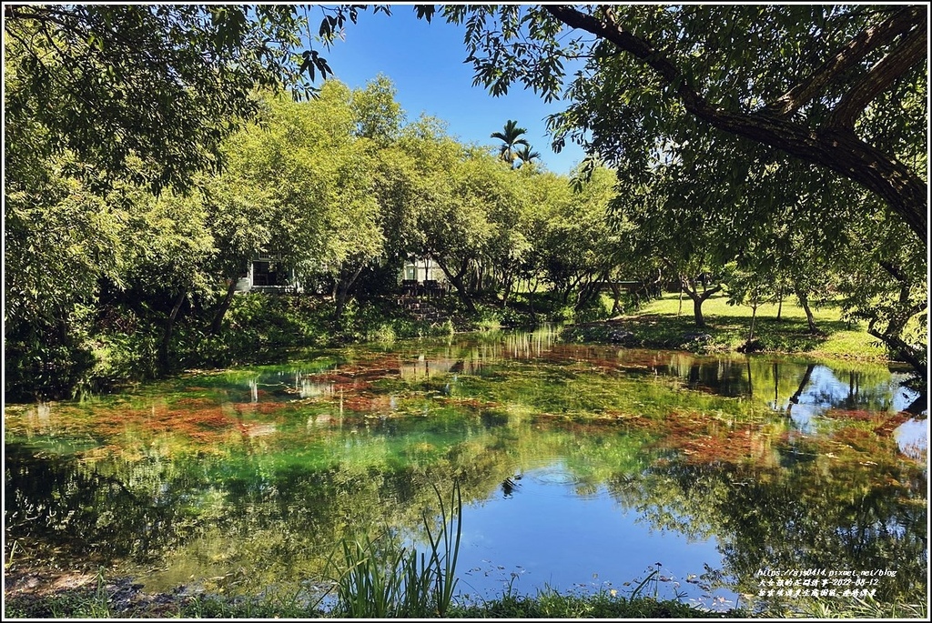 拉索埃湧泉生態園區-療癒湧泉-2022-08-11.jpg