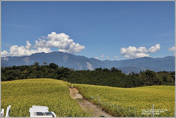 赤柯山(赤柯山中紅貨櫃)-2022-08-02.jpg