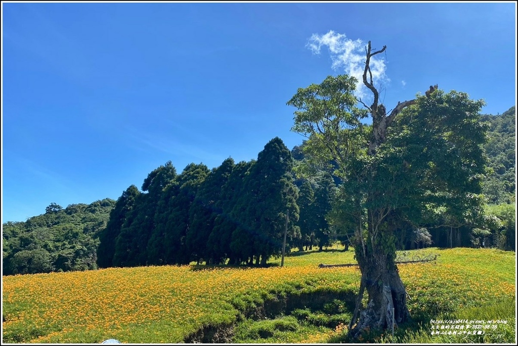 赤柯山(赤柯山中紅貨櫃)-2022-08-06.jpg