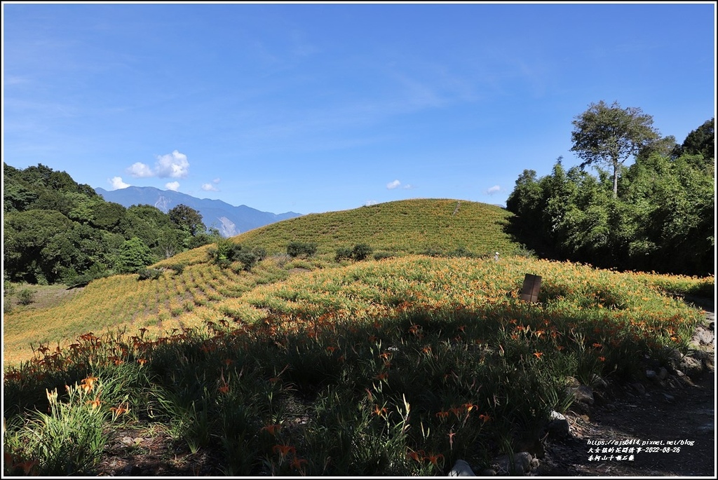 赤柯山千噸石龜-2022-08-01.jpg