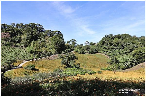 赤柯山千噸石龜-2022-08-02.jpg