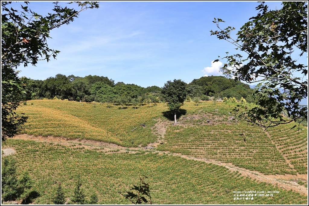 赤柯山千噸石龜-2022-08-03.jpg