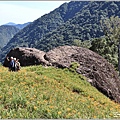 赤柯山千噸石龜-2022-08-04.jpg