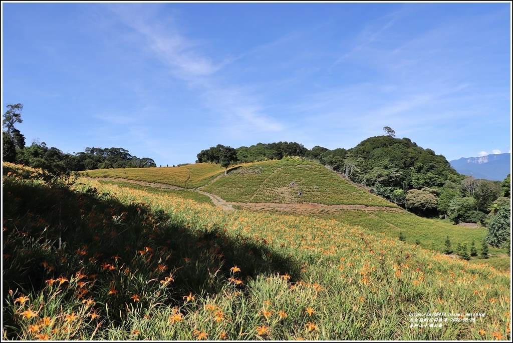 赤柯山千噸石龜-2022-08-06.jpg