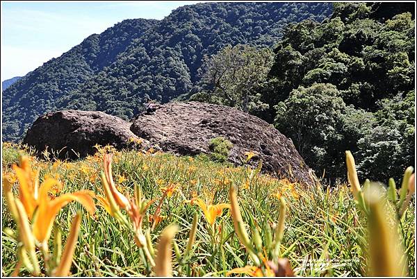 赤柯山千噸石龜-2022-08-10.jpg