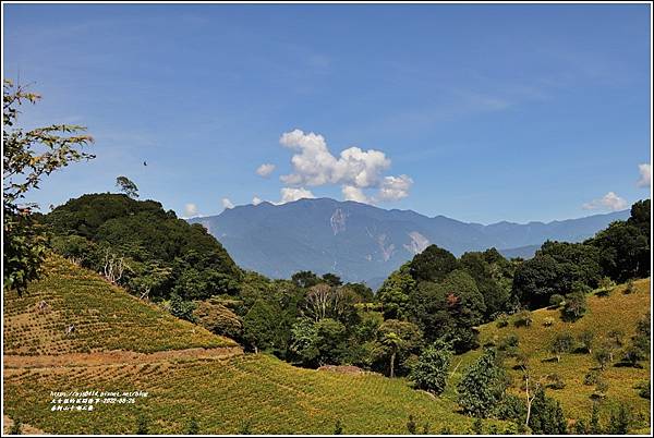 赤柯山千噸石龜-2022-08-12.jpg