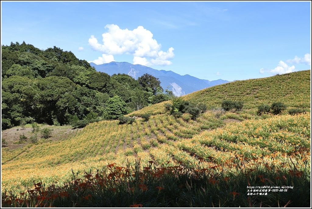 赤柯山千噸石龜-2022-08-16.jpg