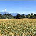 赤柯山小瑞士農場-2022-08-01.jpg