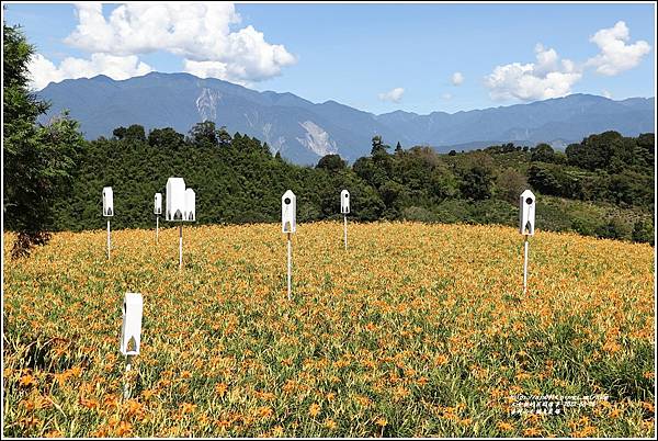 赤柯山小瑞士農場-2022-08-05.jpg