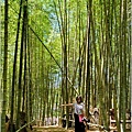 赤柯山汪家古厝(孟宗竹步道)-2022-08-13.jpg