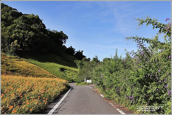 赤柯山迷你雙廟(917農場)-2022-08-04.jpg