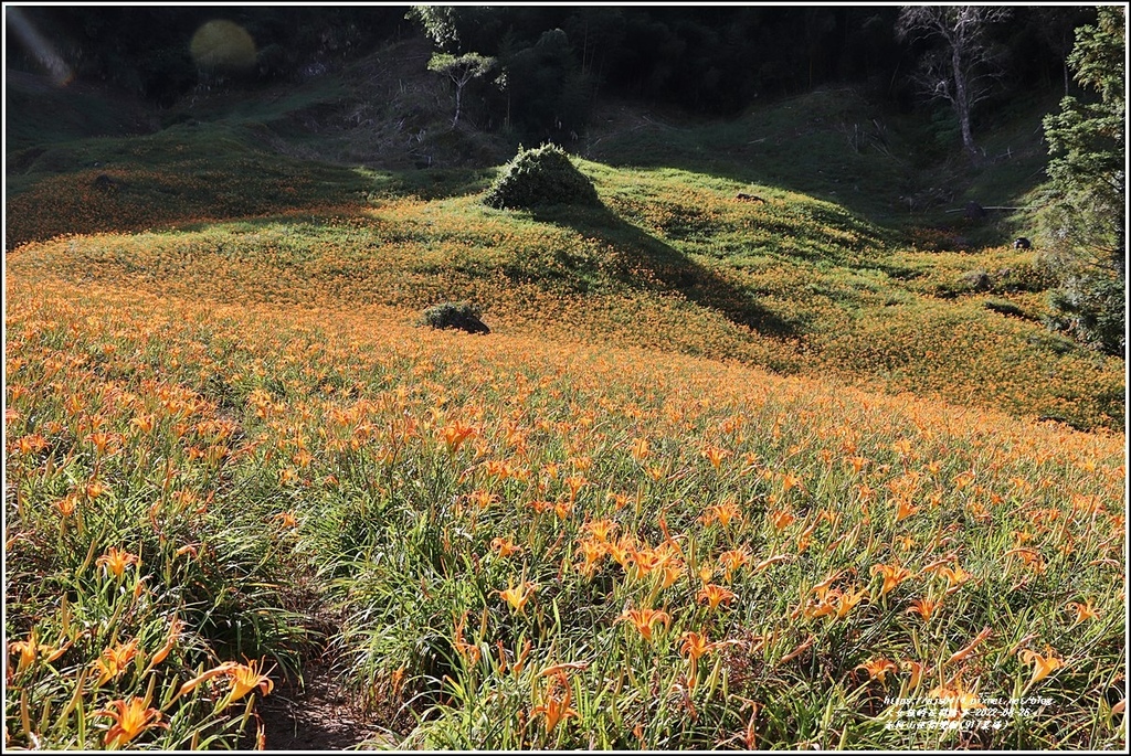 赤柯山迷你雙廟(917農場)-2022-08-05.jpg