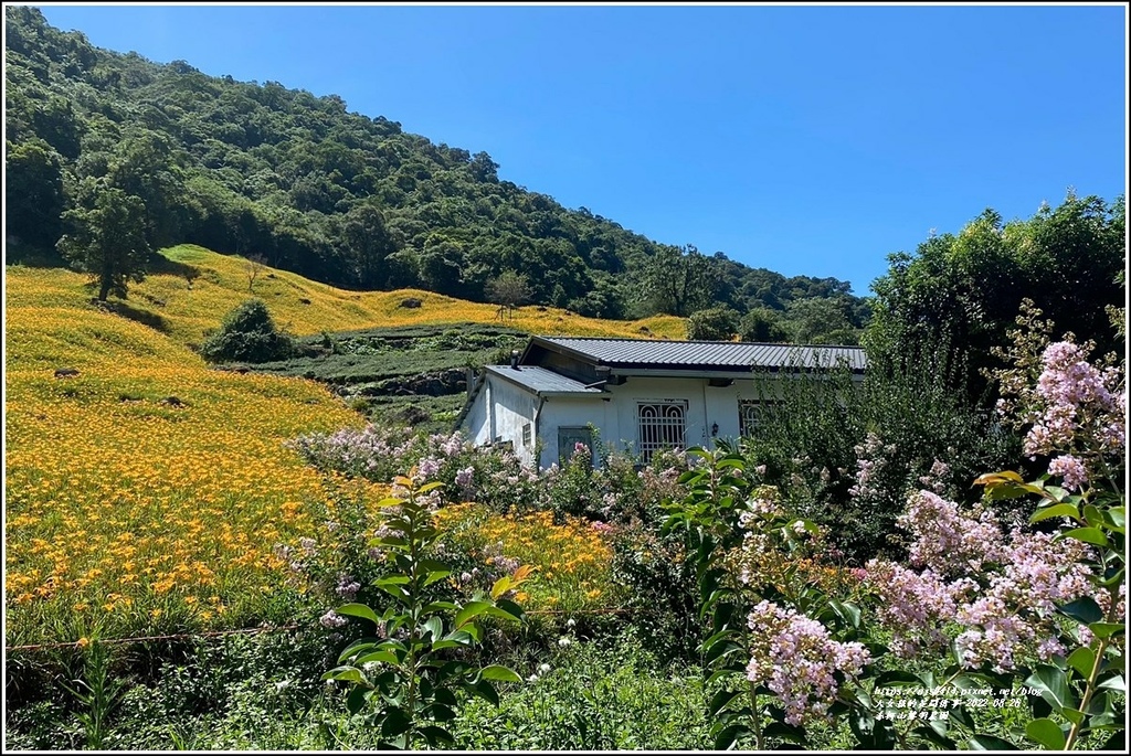 赤柯山黎明農園-2022-08-04.jpg