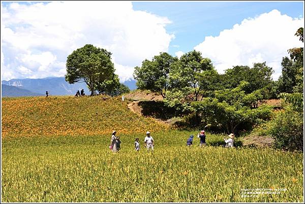 赤柯山三巨石-2022-08-03.jpg