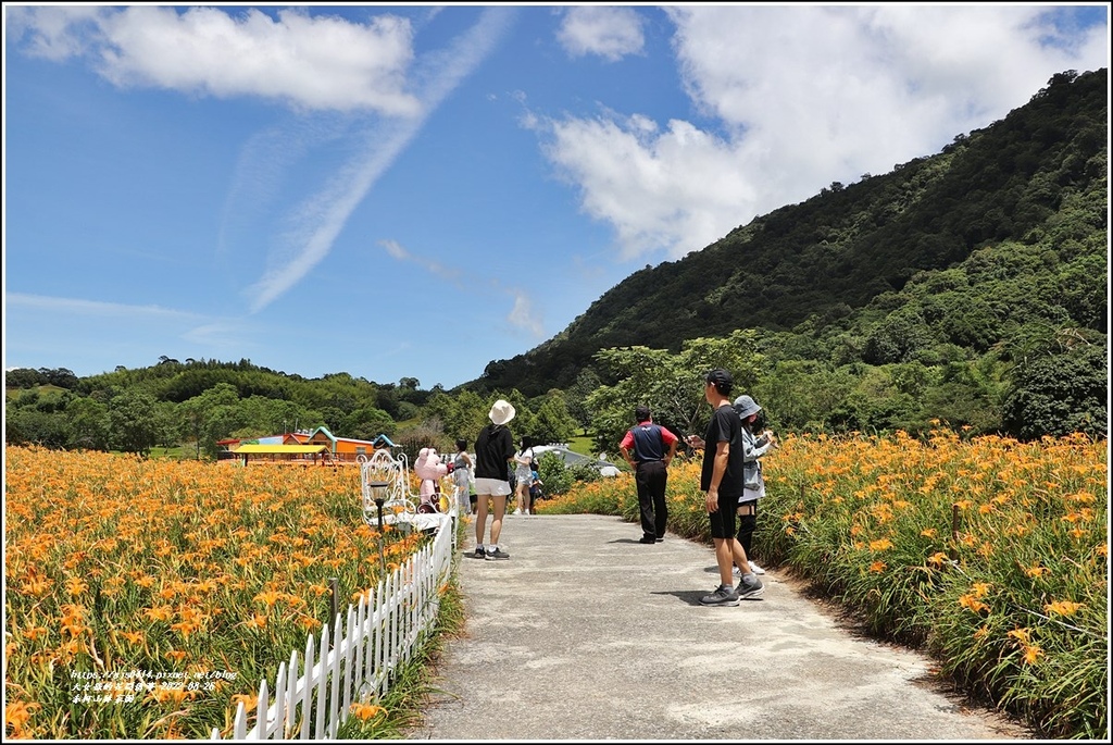 赤柯山林家園-2022-08-10.jpg