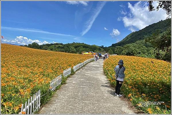 赤柯山林家園-2022-08-17.jpg