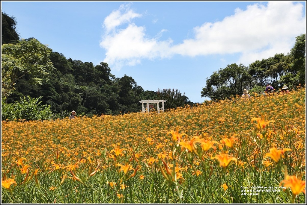 赤柯山林家園-2022-08-26.jpg