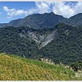 赤柯山愛心坍塌地-2022-08-03.jpg