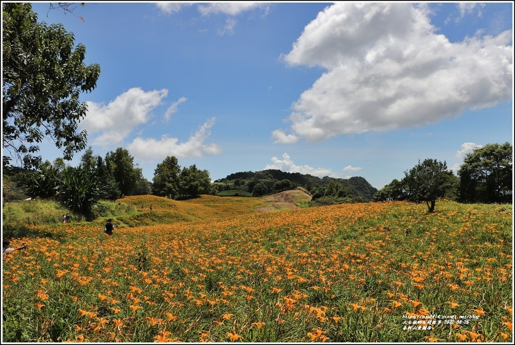 赤柯山萱園居-2022-08-04.jpg